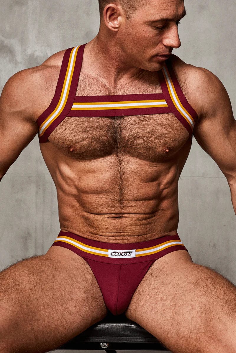 Varsity Harness 4-Pack - Coyote Jocks