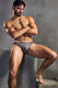 Raw Edge Bikini Brief | Slate Briefs | Coyote Jocks