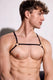Hardware Harness | Jet Black Harness | Coyote Jocks