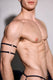 Hardware Arm Band | Jet Black (2-Pack) | Coyote Jocks