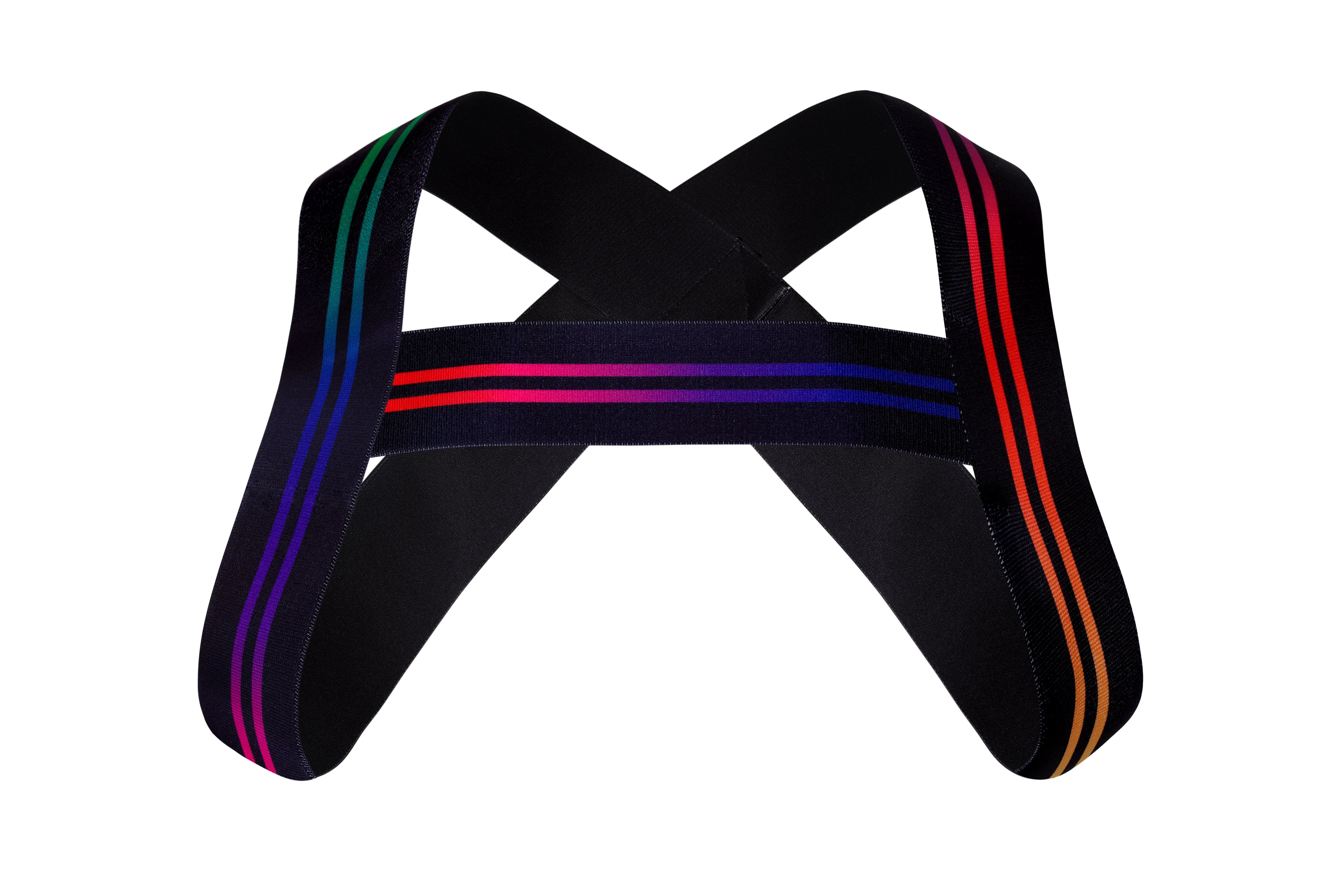 Varsity Pride Harness