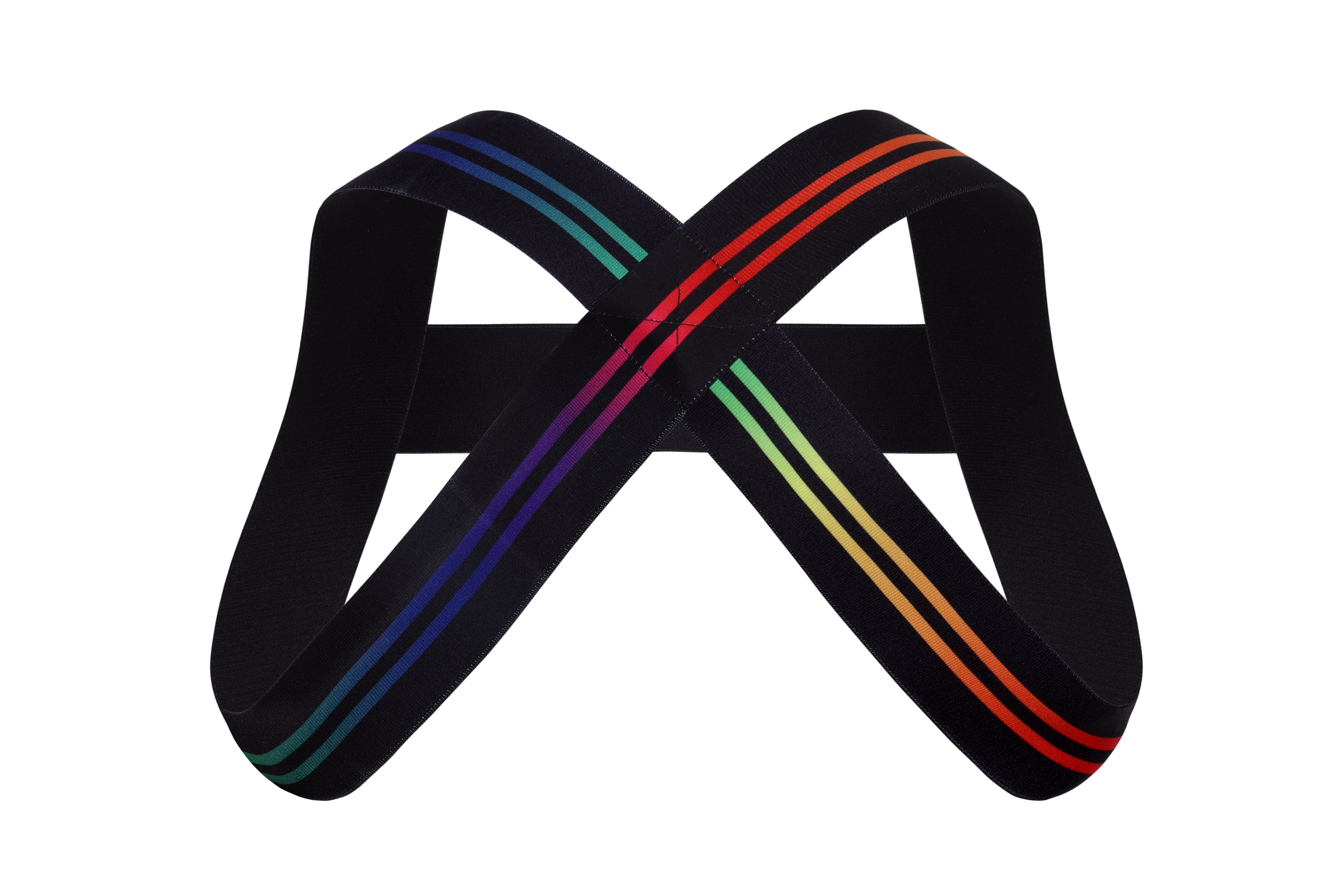 Varsity Pride Harness