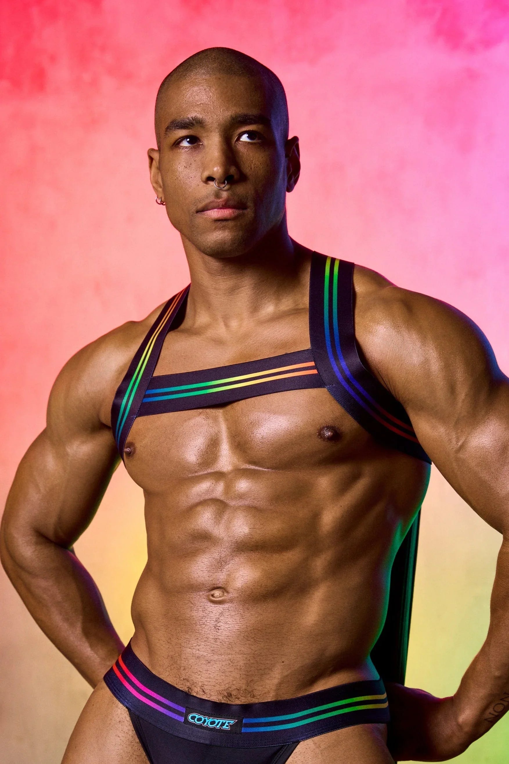Varsity Pride Harness Harness | Coyote Jocks