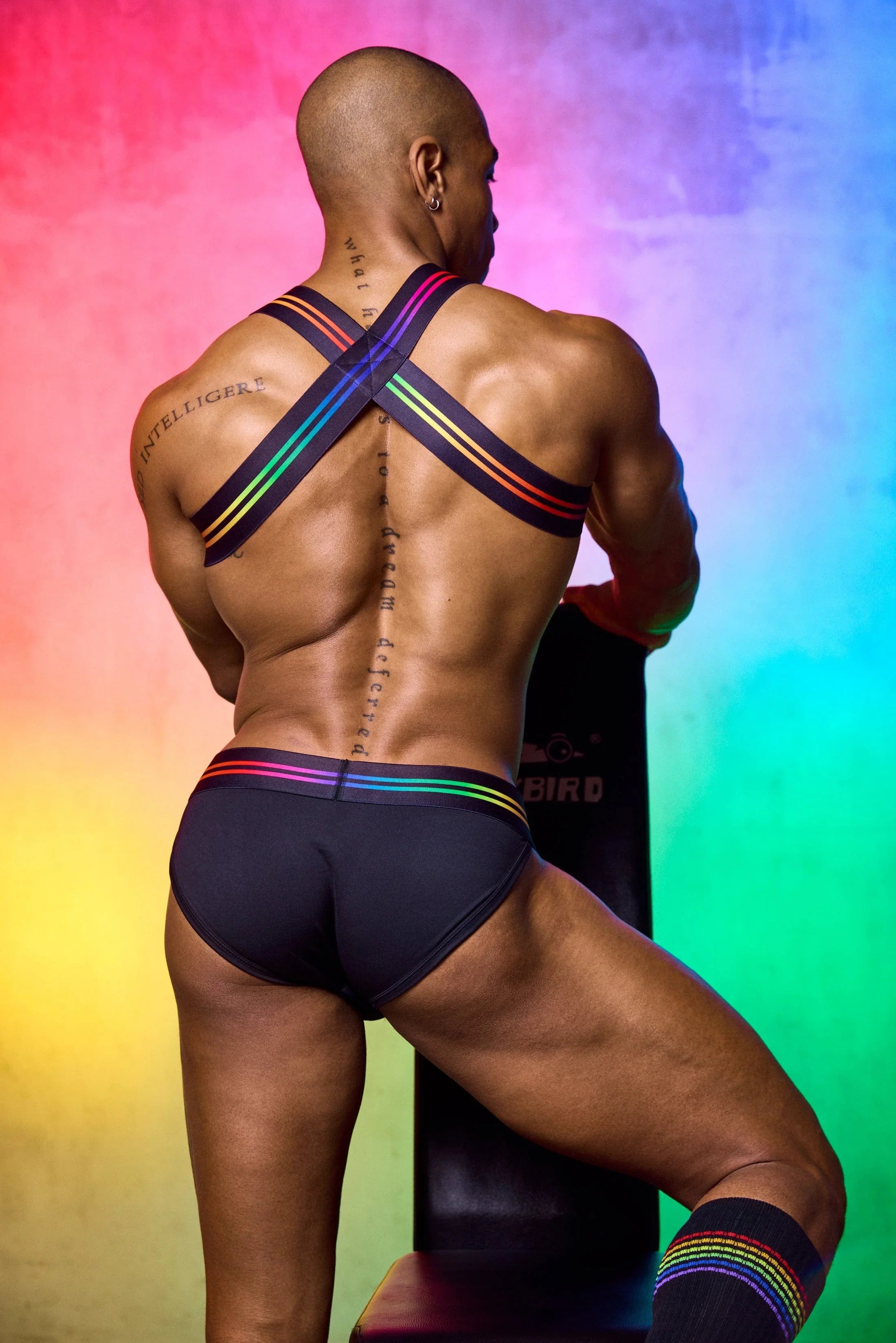Varsity Pride Harness Harness | Coyote Jocks