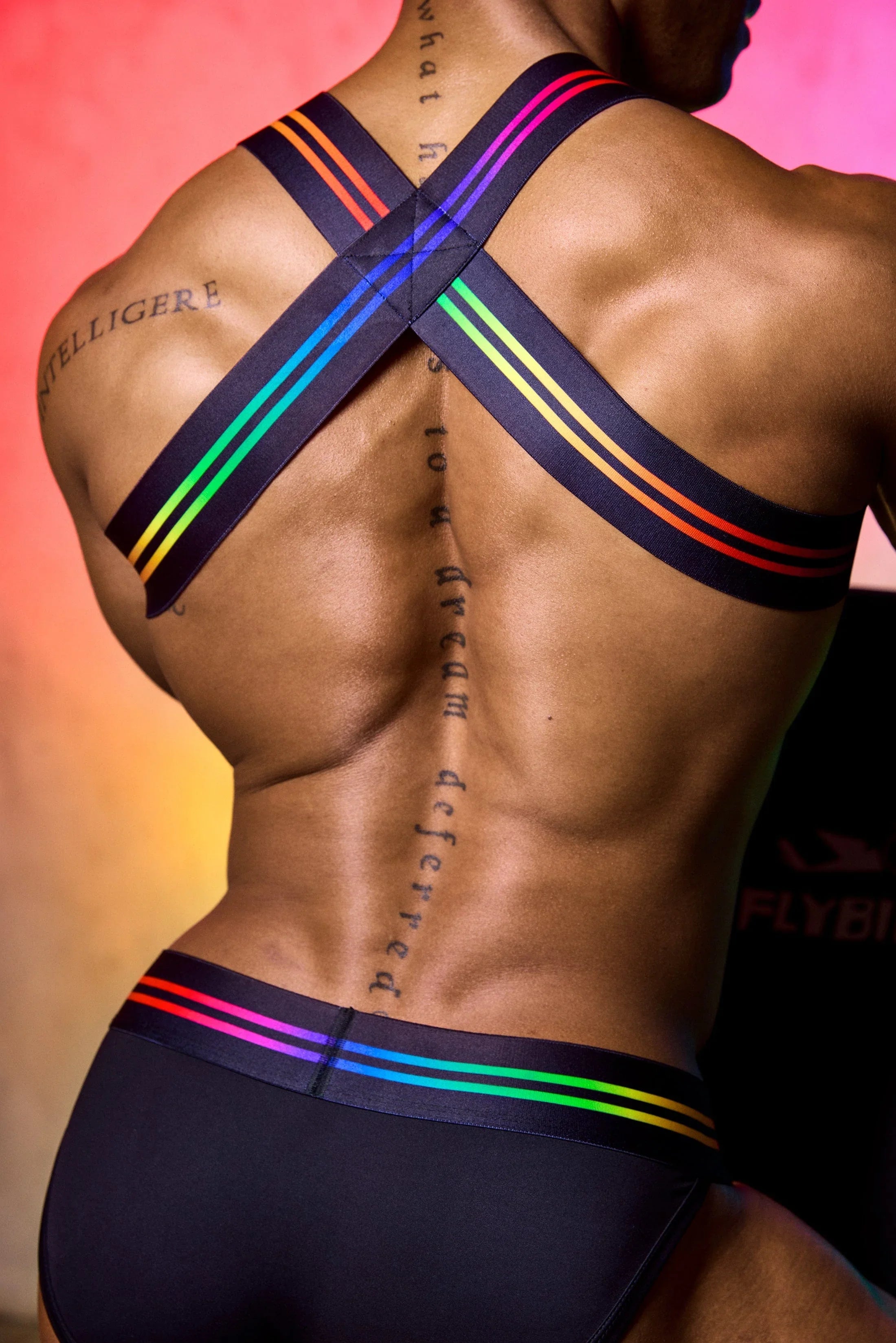 Varsity Pride Harness Harness | Coyote Jocks