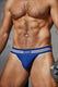 Varsity Sport Brief | Royal Blue Briefs | Coyote Jocks