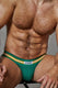 Varsity Sport Brief | Hunter Green Briefs | Coyote Jocks