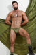 Cadet Sport Brief | Hazel Briefs | Coyote Jocks
