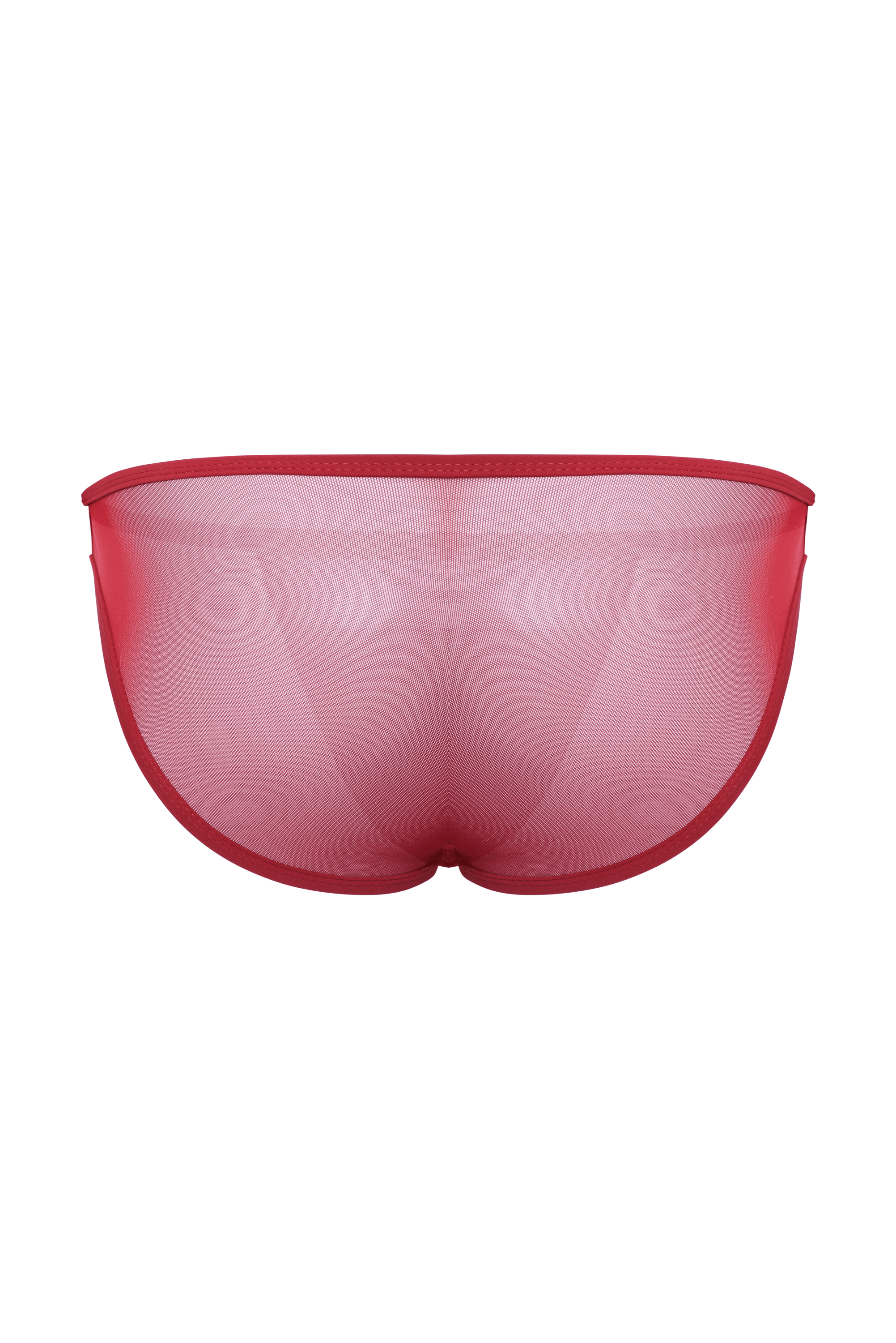 Micro Mesh Sport Brief | Ruby - Coyote Jocks