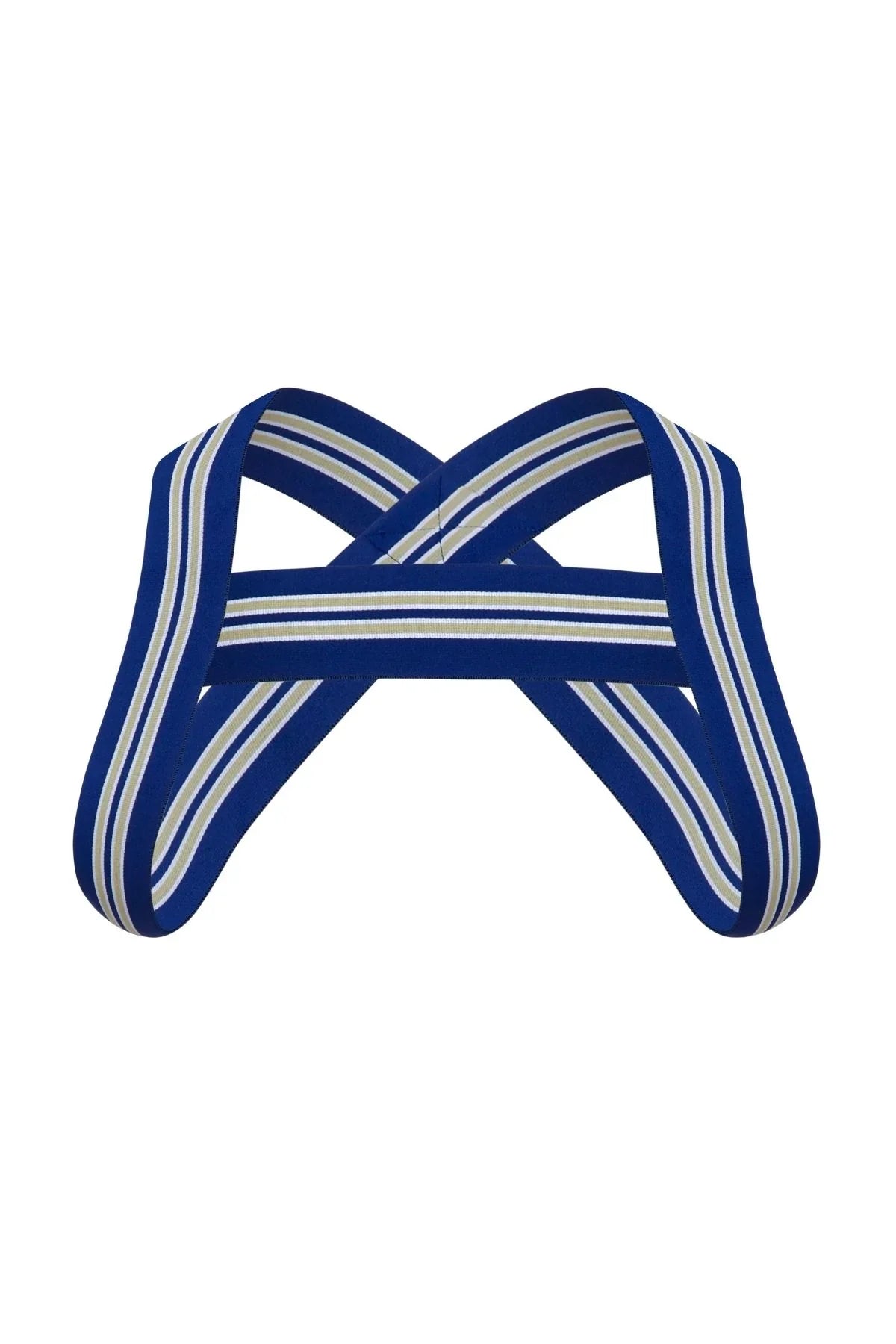 Varsity Harness | Royal Blue Harness | Coyote Jocks