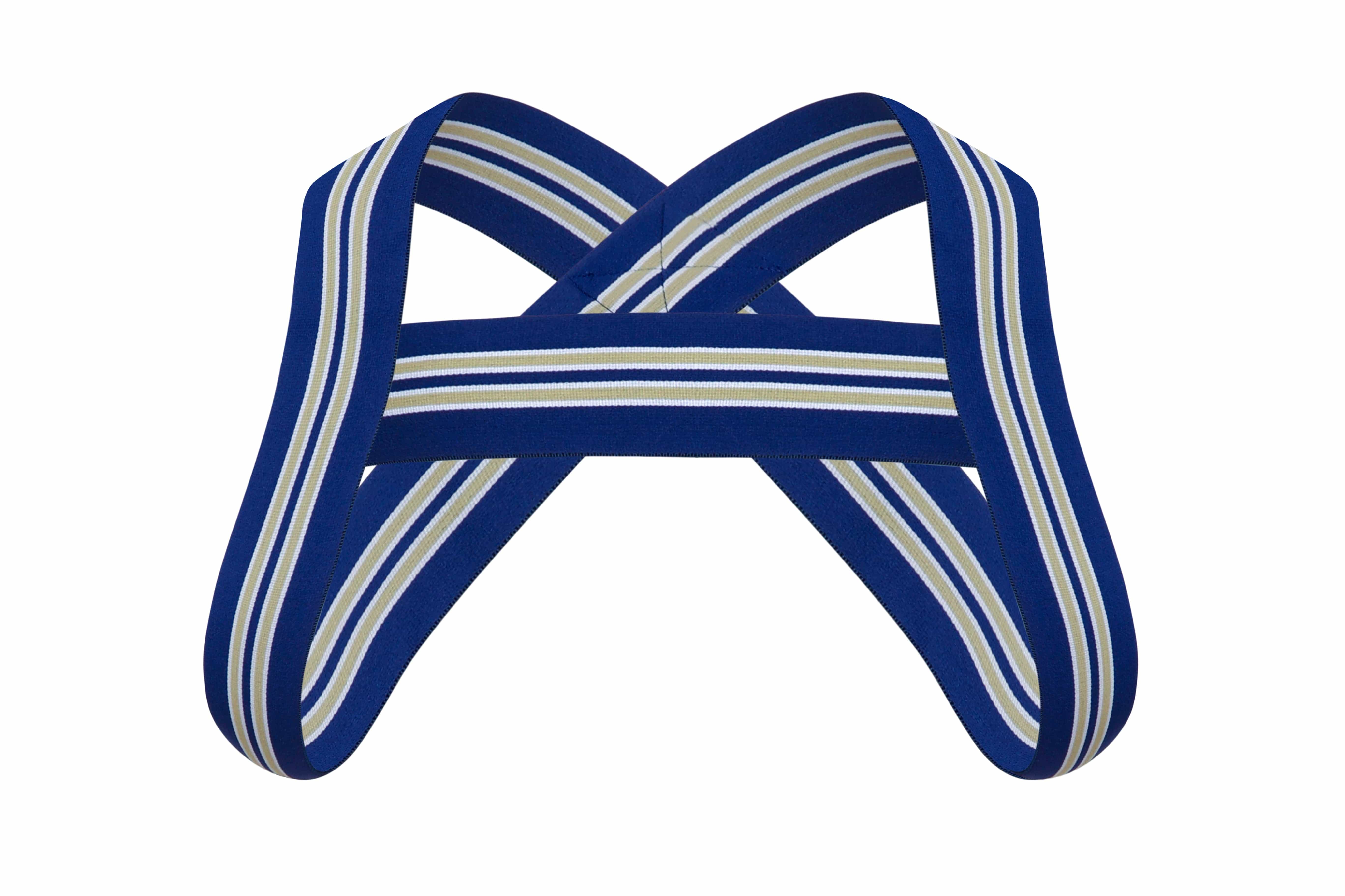 Royal Blue Harness - Coyote Jocks