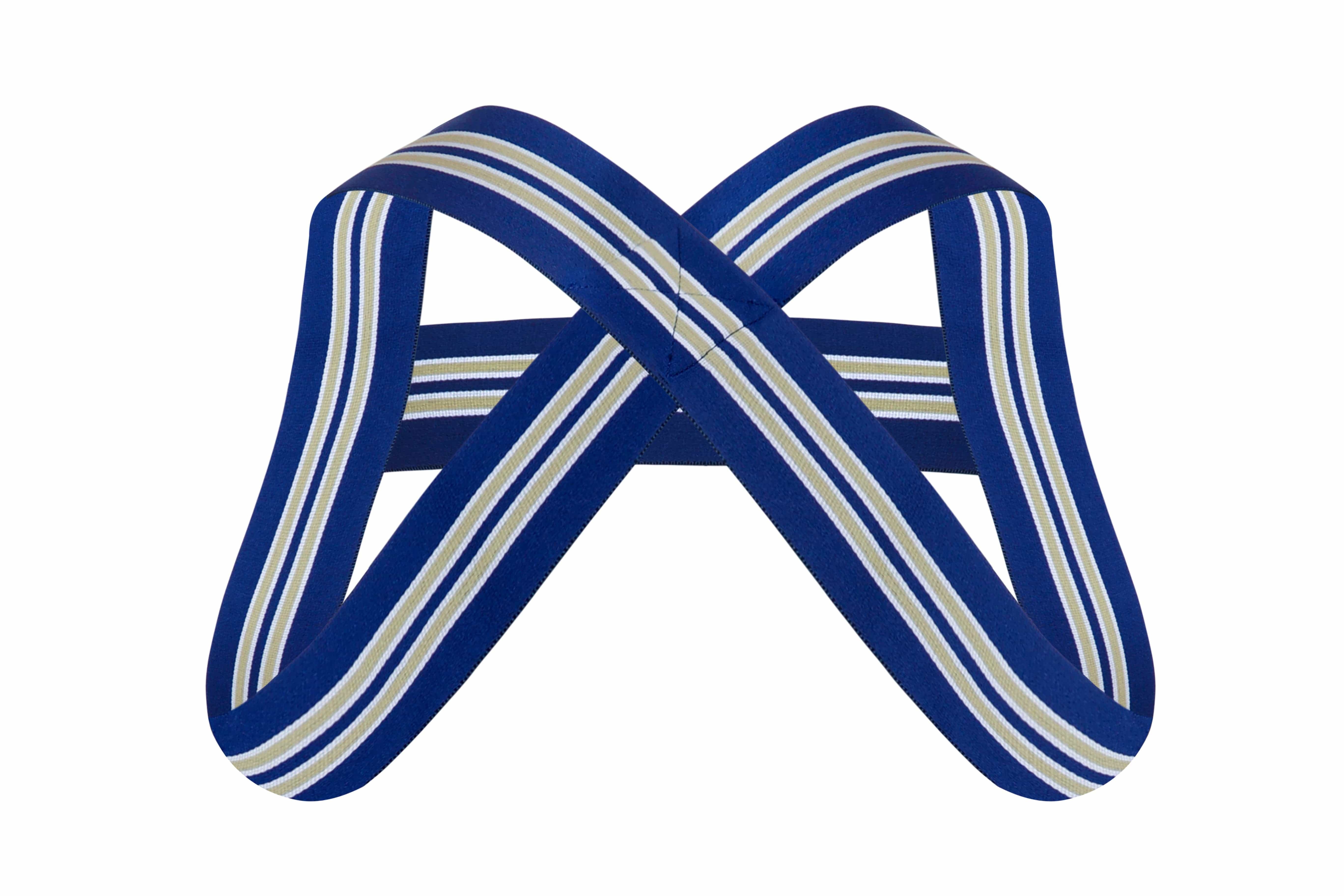 Royal Blue Harness - Coyote Jocks