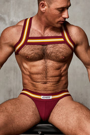 Varsity Harness | Burgundy Harness | Coyote Jocks