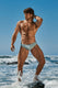 Full Swim Brief | Sage Swim Briefs | Coyote Jocks