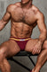 Varsity Jockstrap | Burgundy Jockstraps | Coyote Jocks