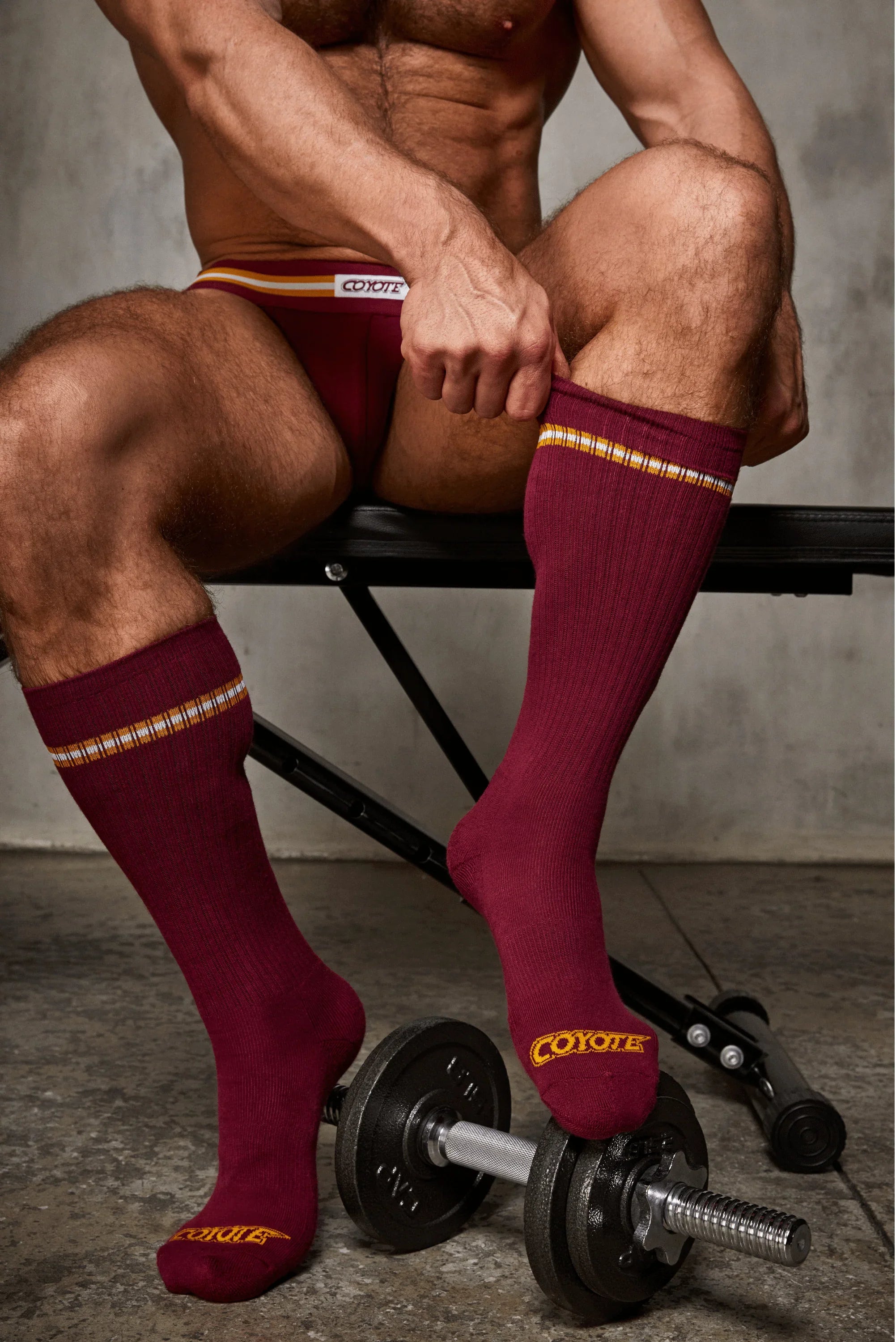 Varsity Sock | Burgundy Socks | Coyote Jocks