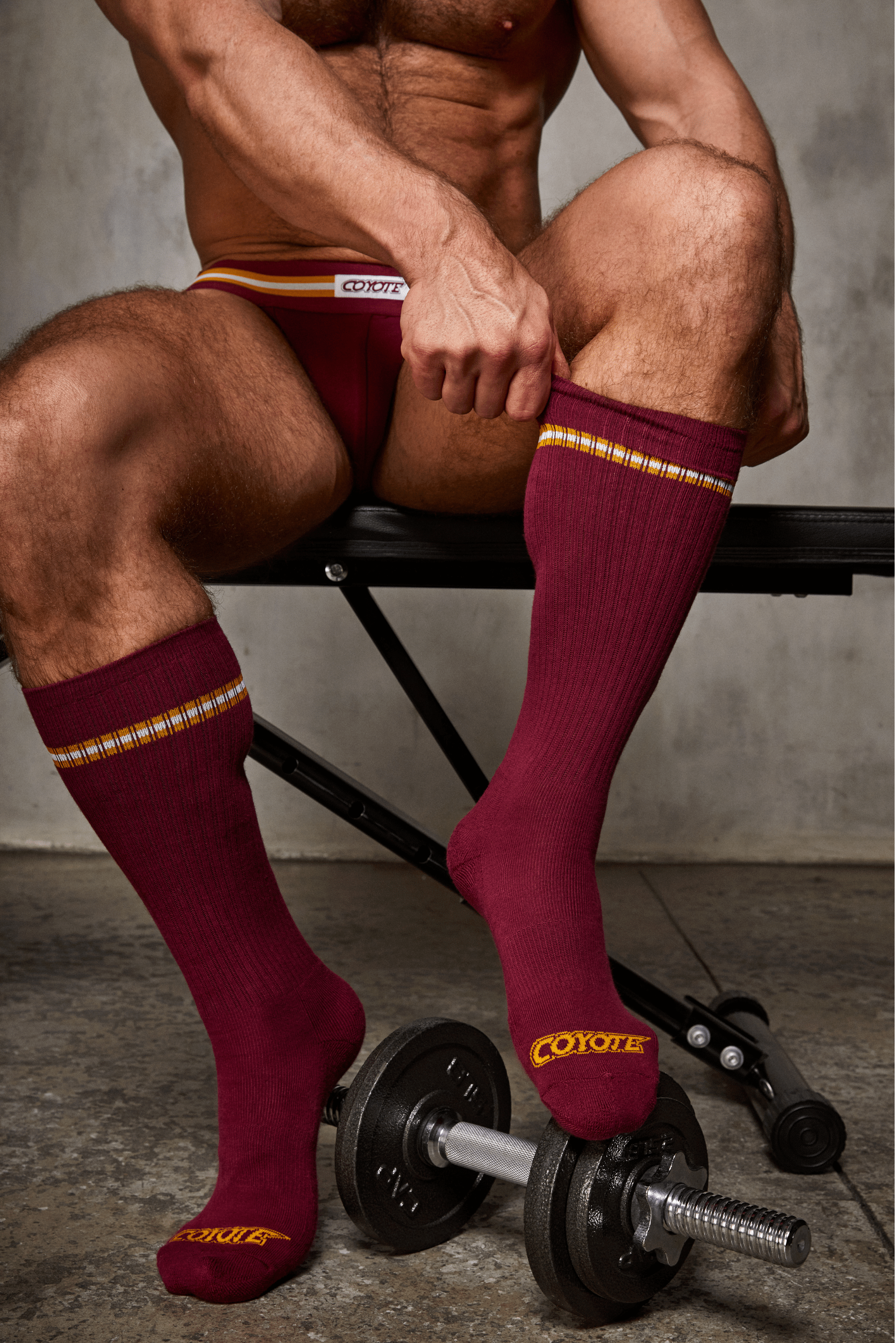 Burgundy Sock - Coyote Jocks 