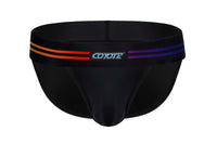 Varsity Pride Sport Brief