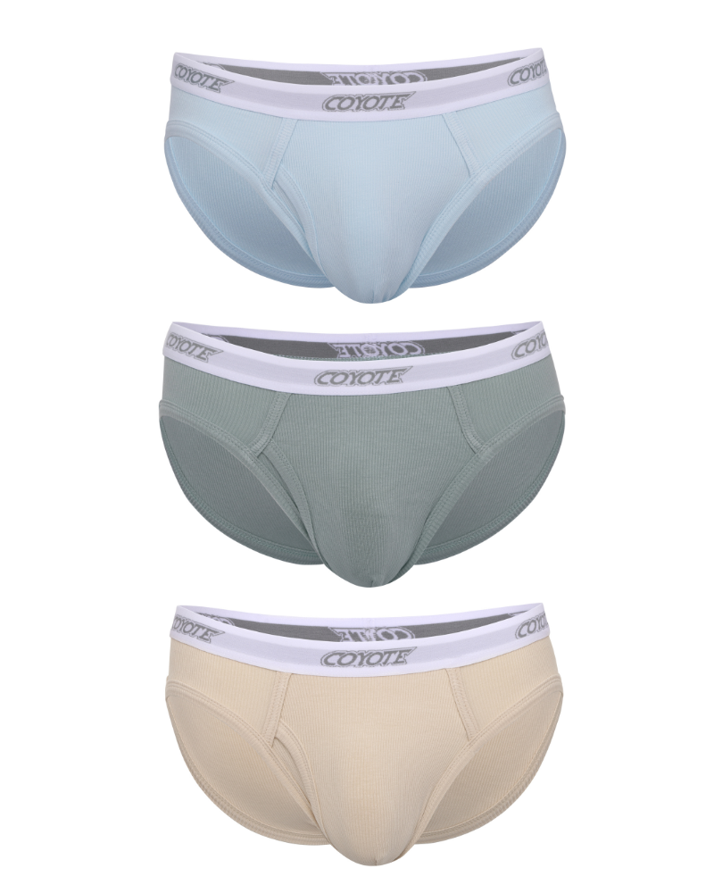 Cotton Rib Fly Front Brief 3-Pack | Color