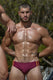 Muscular man in maroon swim briefs with gold stripes, outdoors, showcasing athletic physique and tattoos.