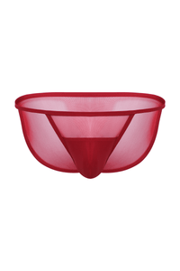 Micro Mesh Sport Brief | Ruby