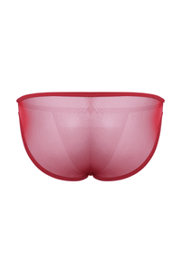 Micro Mesh Sport Brief | Ruby