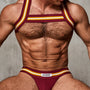 Varsity Harness | Burgundy